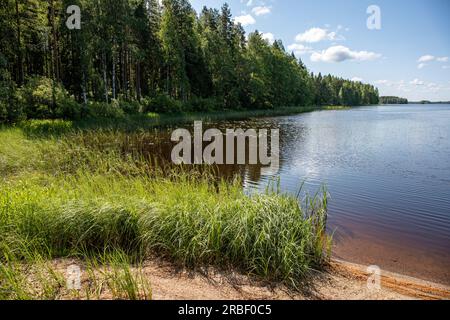 Blick auf den Kankarinjärvi-See an einem sonnigen Sommertag in Kihniö, Finnland Stockfoto