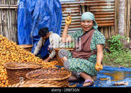 Frauen in typischen Kleidern sitzen auf dem Boden und sortieren Betelnussfrüchte nach der Ernte in einem Dorf in der Nähe von Mawlynnong, Nordost-Indien Stockfoto