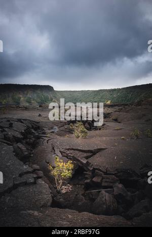 Verfestigen Sie den Lavaboden und die Risse im Inneren des Kilauea iki-Kraters Stockfoto