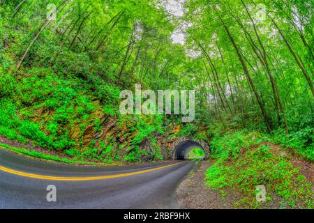 Horizontale Fischaugenlinse, die im Regen durch einen Smoky-Mountains-Tunnel geht. Stockfoto