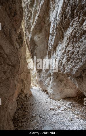 Das Naturschutzgebiet Fara San Martino-Palombaro ist ein Naturschutzgebiet von 4202 ha, das 1983 in den Gemeinden Fara San M errichtet wurde Stockfoto