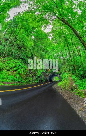 Vertikale Fischaugenlinse, die an einem Regentag durch einen Smoky-Mountains-Tunnel geht. Stockfoto