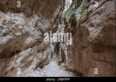 Das Naturschutzgebiet Fara San Martino-Palombaro ist ein Naturschutzgebiet von 4202 ha, das 1983 in den Gemeinden Fara San M errichtet wurde Stockfoto