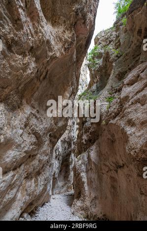 Das Naturschutzgebiet Fara San Martino-Palombaro ist ein Naturschutzgebiet von 4202 ha, das 1983 in den Gemeinden Fara San M errichtet wurde Stockfoto