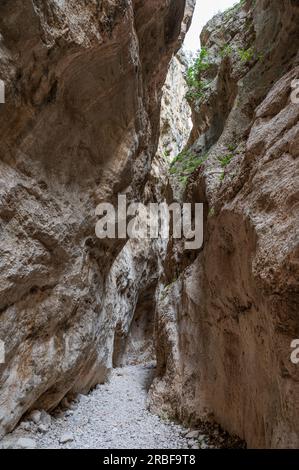 Das Naturschutzgebiet Fara San Martino-Palombaro ist ein Naturschutzgebiet von 4202 ha, das 1983 in den Gemeinden Fara San M errichtet wurde Stockfoto