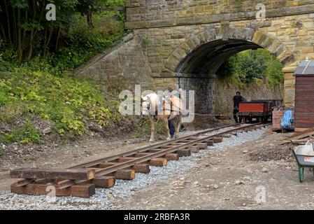 Chirk, Wrexham, Vereinigtes Königreich, 9. Juli 2023. Freiwillige an der Glyn Valley Tramway haben den ersten Zug auf der stillgelegten Schmalspurbahn seit 88 Jahren betrieben, indem sie einen typischen Pferdezug aus der Zeit der ersten Eröffnung der Bahn im Jahr 1873 im Glyn Valley bei Chirk nachgebaut haben. Die Eisenbahn wurde gebaut, um die Steinbrüche in Glyn Ceriog mit dem Shropshire Union Canal in Chirk zu verbinden und später zusätzlich bis zur Schließung im Jahr 1935 Passagierverkehr zu befördern. Die Freiwilligen haben die Erlaubnis, 1 km der Strecke wieder zu öffnen und hoffen, dass sie in Zukunft mit Dampflokomotiven fahren werden. G.P. Essex/Alamy Live News Stockfoto