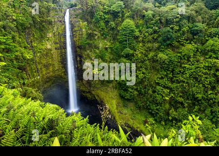Akaka fällt umringt vom Dschungel Stockfoto