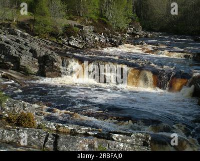 Rogie Falls sind eine Reihe von Wasserfällen auf dem Black Water, einem Fluss in Easter Ross in den Highlands von Schottland. Stockfoto