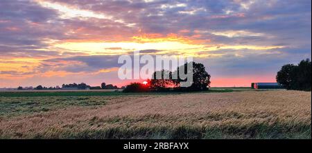 Malerisches Panorama mit bunten Wolken über Weizenfeldern in der niederländischen Landschaft. Stockfoto