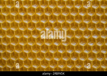 Hintergrundstruktur und Muster der Schnittvoshchina von Wachs-Wabenwaben aus einem Bienenstock für Honigfüllung. Voshchina als künstliche Grundlage für die Knackis Stockfoto