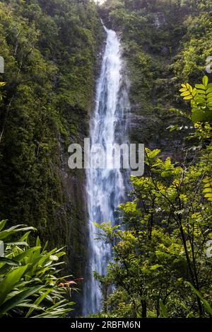 Haleakala Nationalpark am Ende des Pipiwai Trails Stockfoto