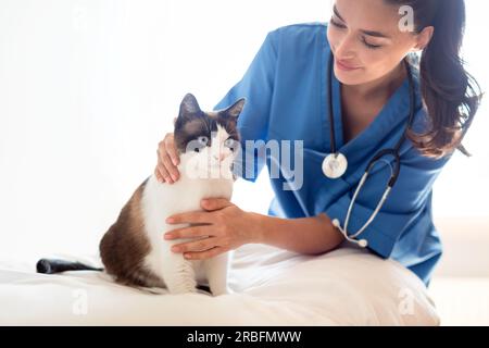 Tierärztin, die die Untersuchung der Katze während der Hausuntersuchung macht Stockfoto