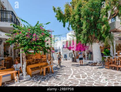 Traditionelle kopfsteingepflasterte Gasse mit weiß getünchten Häusern, Bouganvillea-Baum und Straßencafés in Antiparos, Kykladen, Griechenland. Stockfoto