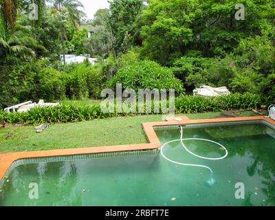 Dreckiger grüner Swimmingpool mit Staubsauger in sehr grüner tropischer Umgebung mit Dächern anderer Häuser, die durch die Bäume hindurchblicken Stockfoto