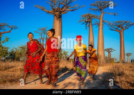 Madagassische morondava-Frauen in der baobab-Straße der ethnischen Sakalava mit Gesichtsmaske in Morondava, Menabe-Region, Madagaskar Stockfoto