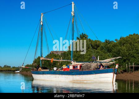 Boot im Fluss mit Mangroven im Morondava River, Toliara Provinz, Madagaskar, Afrika Stockfoto