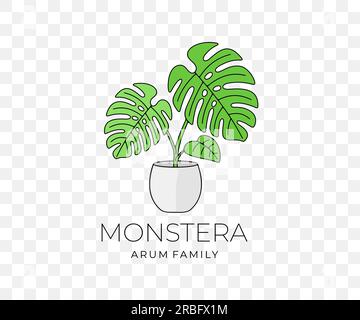 Monstera mit Blättern im Blumentopf, Kletterpflanze, farbiges Grafikdesign. Monstera deliciosa oder Philodendron, Pflanze, Natur und Flora, Vektordesign Stock Vektor