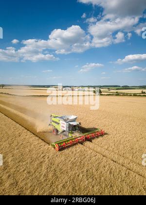 7. Juli 2023 Ernte von Wintergerste in Rutland Stockfoto