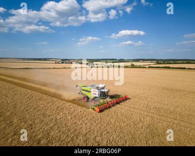 7. Juli 2023 Ernte von Wintergerste in Rutland Stockfoto