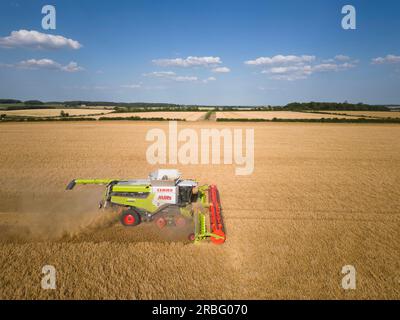 7. Juli 2023 Ernte von Wintergerste in Rutland Stockfoto