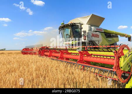 7. Juli 2023 Ernte von Wintergerste in Rutland Stockfoto
