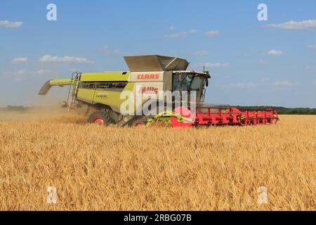 7. Juli 2023 Ernte von Wintergerste in Rutland Stockfoto
