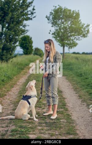 Attraktive junge Frau Lehre ihren Hund zu einem gehorsamen Golden Labrador auf wenige Kabelbaum und führen in einem Land Landschaft auf einen Feldweg Stockfoto