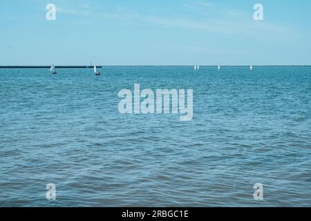 Segelregatta der Juniorklasse. Stockfoto