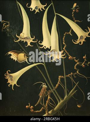 Blumen und Insekte 1939 von Franz Sedlacek Stockfoto