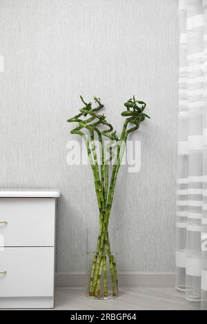 Vase mit wunderschönen grünen Bambusstämmen auf dem Boden im Innenbereich Stockfoto