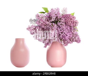 Stilvolle Vase mit wunderschönen, lila Ästen und leerer Vase auf weißem Hintergrund. Collage-Design Stockfoto