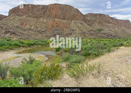 Üppiges grünes Becken des gewundenen Flusses Rio Grande im Frühling Stockfoto