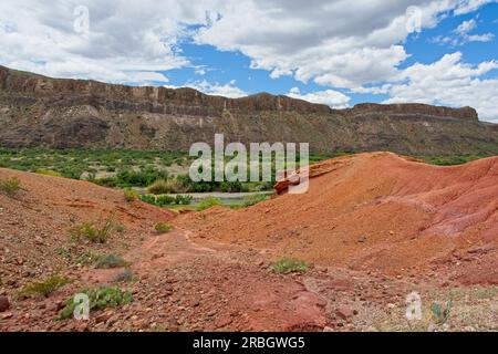 Das üppig grüne Flussbecken des Rio Grande verläuft zwischen dem trockenen mesa-Kamm, der die Grenze zu den USA und Mexiko im Big Bend Ranch State Park abgrenzt Stockfoto