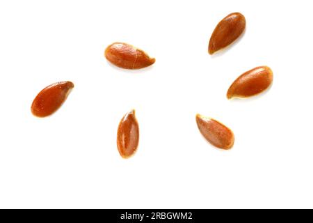 Leinsamen, Leinsamen, leinsamen, auf weiß isolierte leinsamen. Gesundes Essen Hintergrund. Konzept für Ernährung, vegetarische oder saubere Ernährung. Makro-Nahaufnahme. Stockfoto