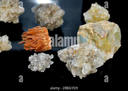 Auf einem Glastisch stehen verschiedene Blumenkohlsorten. Eine Sammlung von Mineralien aus dem Meer. Ein Stein mit dem Wort "Quarz" drauf. Hochwertiges Foto Stockfoto
