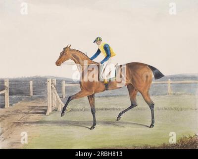 British Racehorse The Duchess 1816 von John Frederick Herring Sr Stockfoto