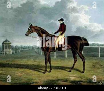 British Racehorse St Patrick 1820 von John Frederick Herring Sr Stockfoto