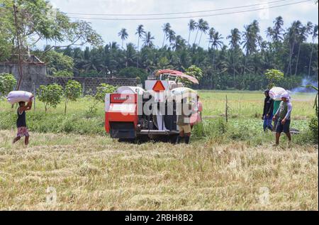 San Pablo, Philippinen. 10. Juli 2023 : Bauern ernten Reis am Fuße des Mount Banahaw mit einem Kubota Harvester DC 70. Präsident Marcos erließ ein Gesetz, das die Landwirte von jahrzehntelangen Schulden im Rahmen des umfassenden Agrarreformprogramms entlasten soll, das Land an die Bodenfräsen verteilt, aber nicht umsonst. Das neue Agraremanzipationsgesetz billigte insgesamt P57,65 Milliarden unbezahlte Amortisierungen (mehr als 1 Milliarden US-Dollar), von denen mehr als 600.000 philippinische Landwirte landesweit 1,7 Millionen Hektar Agrarreformland bewirtschaften konnten. Kredit: Kevin Izorce/Alamy Live News. Stockfoto