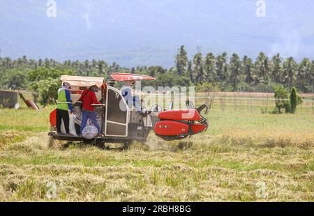 San Pablo, Philippinen. 10. Juli 2023 : Bauern ernten Reis am Fuße des Mount Banahaw mit einem Kubota Harvester DC 70. Präsident Marcos erließ ein Gesetz, das die Landwirte von jahrzehntelangen Schulden im Rahmen des umfassenden Agrarreformprogramms entlasten soll, das Land an die Bodenfräsen verteilt, aber nicht umsonst. Das neue Agraremanzipationsgesetz billigte insgesamt P57,65 Milliarden unbezahlte Amortisierungen (mehr als 1 Milliarden US-Dollar), von denen mehr als 600.000 philippinische Landwirte landesweit 1,7 Millionen Hektar Agrarreformland bewirtschaften konnten. Kredit: Kevin Izorce/Alamy Live News. Stockfoto