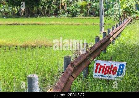 San Pablo, Philippinen. 10. Juli 2023: Werbeschild für das Glyphosat-Herbizid Triple 8 480SL (Tag Chem), das in den nahe gelegenen Reisfeldern verwendet wird. Präsident Marcos erließ ein Gesetz, das die Landwirte von jahrzehntelangen Schulden im Rahmen des umfassenden Agrarreformprogramms entlasten soll, das Land an die Ölhacken verteilt, aber nicht kostenlos. Das New Agrarian Emancipation Act genehmigte insgesamt 57,65 Milliarden Pire unbezahlter Amortisationen (mehr als 1 Milliarde Dollar), was mehr als 600.000 philippinischen Bauern im ganzen Land zugute kam, die 1,7 Millionen Hektar Land für Agrarreformen bewirtschafteten. Quelle: Kevin Izorce/Alamy Live News Stockfoto