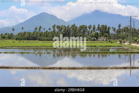 San Pablo, Philippinen. 10. Juli 2023 : der Berg Banahaw mit Reisfeldern in verschiedenen Wachstumsphasen des Anbaus, im Vordergrund überflutet und im Hintergrund blüht. Präsident Marcos erließ ein Gesetz, das die Landwirte von jahrzehntelangen Schulden im Rahmen des umfassenden Agrarreformprogramms entlasten soll, das Land an die Bodenfräsen verteilt, aber nicht umsonst. Das neue Agraremanzipationsgesetz billigte insgesamt P57,65 Milliarden unbezahlte Amortisierungen (1 Milliarden US-Dollar), von denen mehr als 600.000 philippinische Landwirte landesweit 1,7 Millionen Hektar bewirtschaften konnten. Kevin Izorce/Alamy Live News Stockfoto