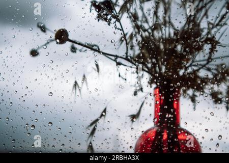 Rote glasklare Vase mit einem Strauß von Wildblumen, Kräuter vor einem Fenster mit Regentropfen vor blaugrauem, wolkigen Himmel. Regenwolkenwetter auf einem A Stockfoto