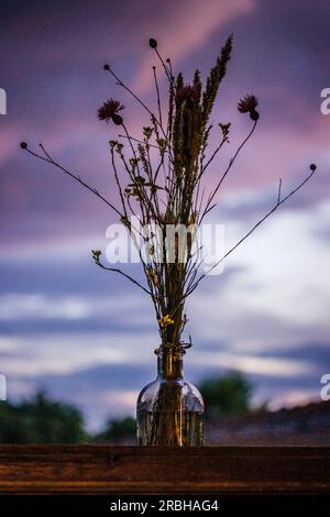 Strauß Wildblumen vor violettem lila Sonnenuntergang Himmel Wildblumen Silhouette. Stockfoto