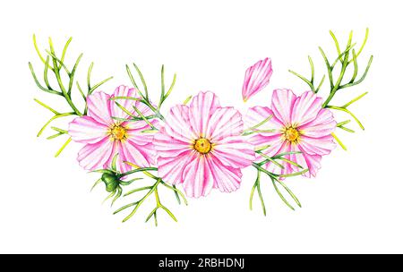 Cosmos Blumen Bouquet isoliert auf weißem Hintergrund. Handgezeichnete Aquarell-Kosmos-Blumen. Blühen für Verpackungsdesign, Karten, Einladungen usw. Stockfoto