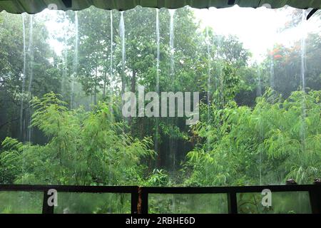 Nach hinten sah ich einen Wald vor mir. Der Regen fiel und floss vom Dach zum Boden. Stockfoto