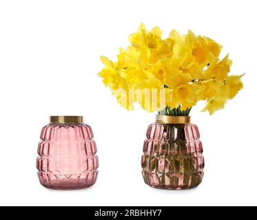 Stilvolle Vase voller wunderschöner Narzissenblüten und leere Vase auf weißem Hintergrund. Collage-Design Stockfoto