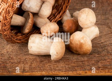 Weiße Waldpilze im Korb auf einem Holztisch. Stockfoto