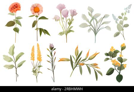 Blumensymbole gesetzt. Kollektion bunter Blumen auf weißem Hintergrund. Verschiedene Blumen in flacher Ausführung. Vektordarstellung Stock Vektor
