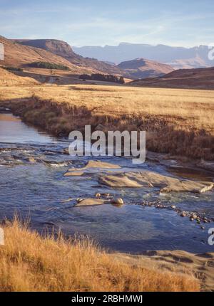 Der Fluss Bushmans fließt in der Nähe des Wildreservats Giants Castle im Ukhahlamba Drakensberg Park in KwaZulu-Natal in Südafrika. Stockfoto