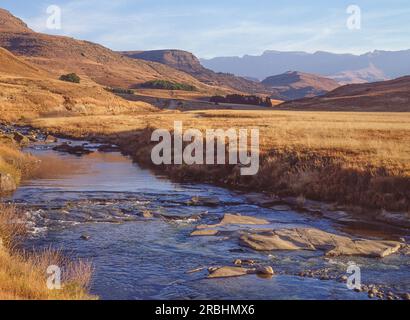 Der Fluss Bushmans fließt in der Nähe des Wildreservats Giants Castle im Ukhahlamba Drakensberg Park in KwaZulu-Natal in Südafrika. Stockfoto